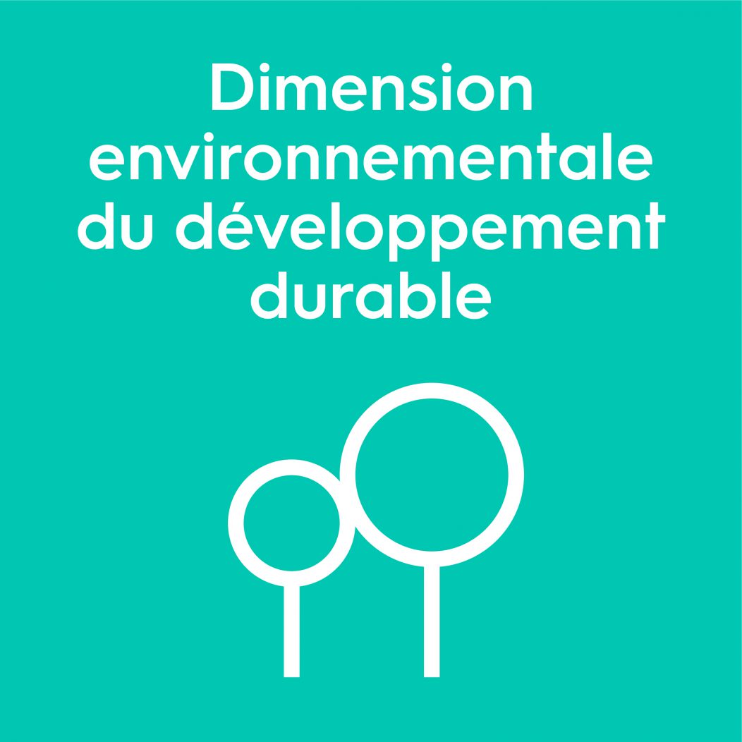 Dimension environnementale du développement durable